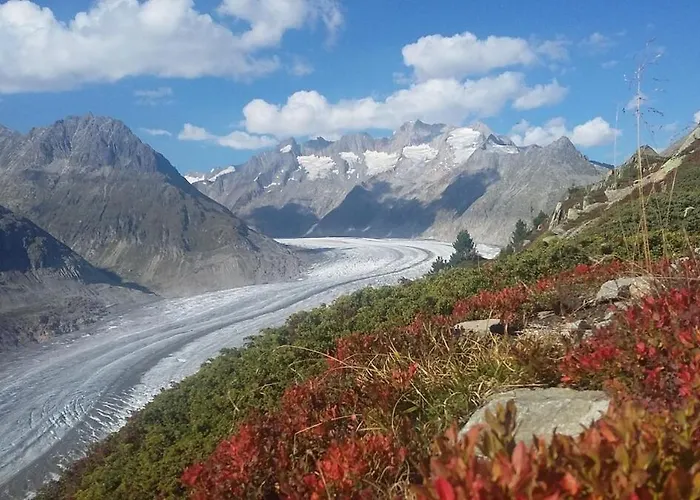 Alpenrose Aletsch Landschaftspark Binntal Grengiols