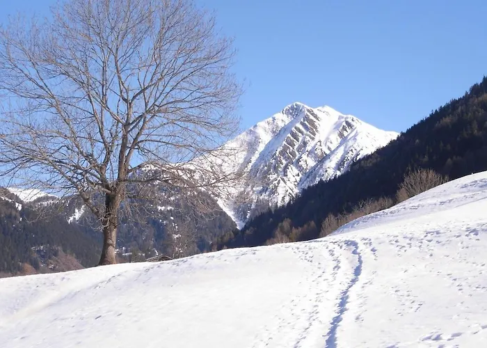 Alpenrose Aletsch Landschaftspark Binntal Appartamento