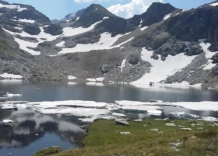Alpenrose Aletsch Landschaftspark Binntal Appartamento Grengiols