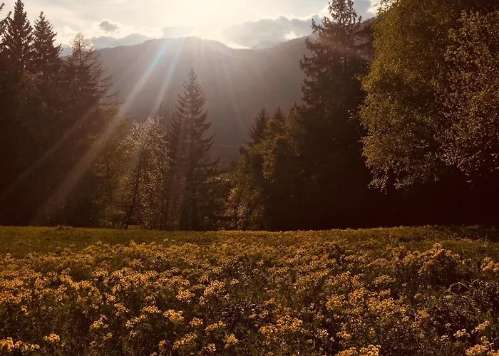 Appartamento Alpenrose Aletsch Landschaftspark Binntal Grengiols