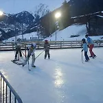 Alpenrose Aletsch Landschaftspark Binntal Appartamento
