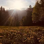 Appartamento Alpenrose Aletsch Landschaftspark Binntal Grengiols