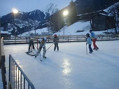 Alpenrose Aletsch Landschaftspark Binntal Daire