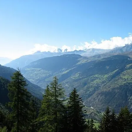 Alpenrose Aletsch Landschaftspark Binntal Daire *
