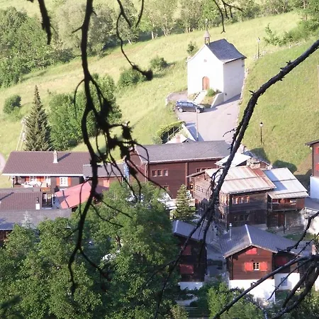 Daire Alpenrose Aletsch Landschaftspark Binntal *