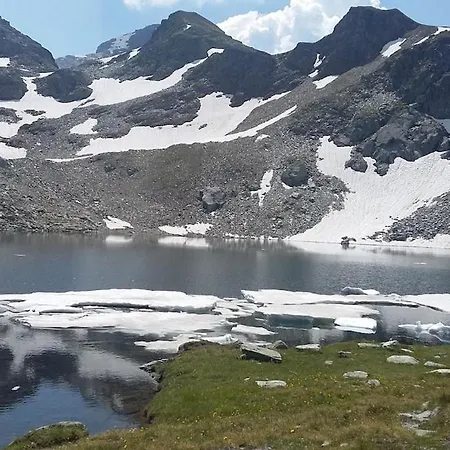 Alpenrose Aletsch Landschaftspark Binntal Apartment Grengiols
