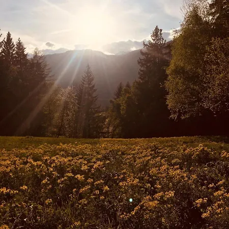 Daire Alpenrose Aletsch Landschaftspark Binntal Grengiols