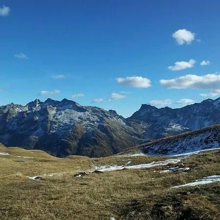 Alpenrose Aletsch Landschaftspark Binntal *